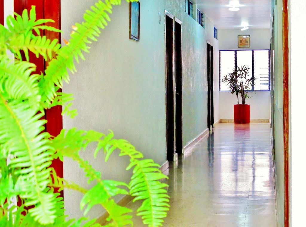 Hotel Acuario カテマコ エクステリア 写真