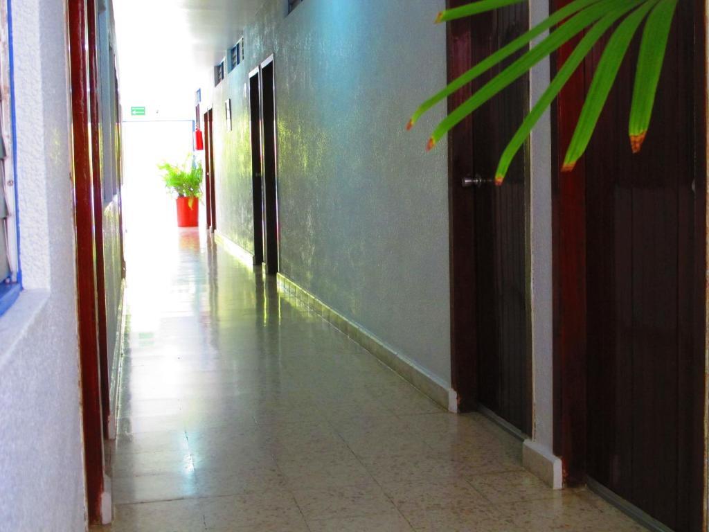Hotel Acuario カテマコ エクステリア 写真